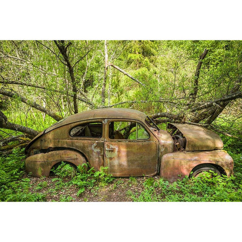 Sweden-Varmland-Bastnas-Bastnas Car Cemetery public park-antique car junkyard Black Modern Wood Framed Art Print by Bibikow, Walter