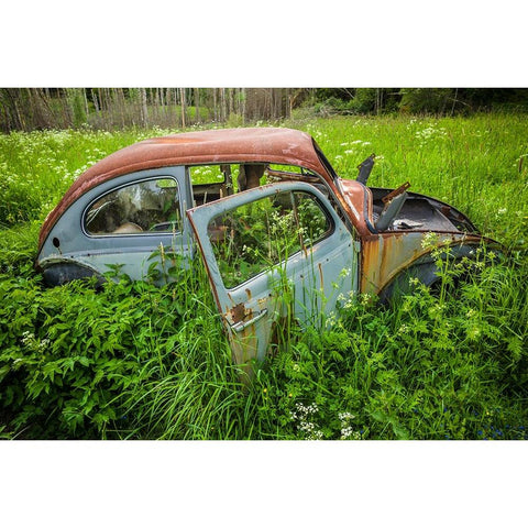 Sweden-Varmland-Bastnas-Bastnas Car Cemetery public park-antique car junkyard Black Modern Wood Framed Art Print with Double Matting by Bibikow, Walter