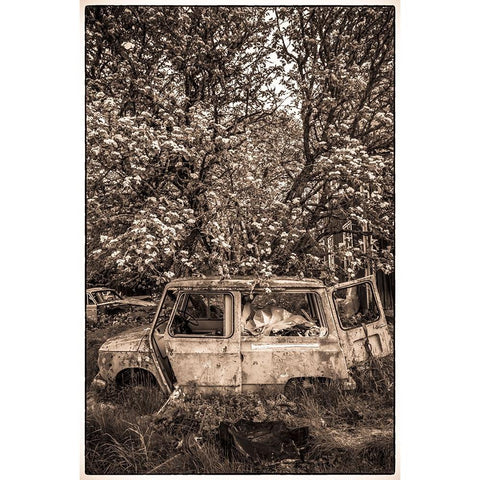 Sweden-Varmland-Bastnas-Bastnas Car Cemetery public park-antique car junkyard Black Modern Wood Framed Art Print by Bibikow, Walter