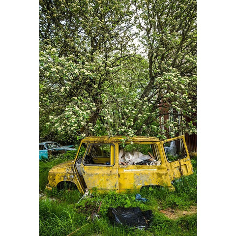 Sweden-Varmland-Bastnas-Bastnas Car Cemetery public park-antique car junkyard Black Modern Wood Framed Art Print with Double Matting by Bibikow, Walter