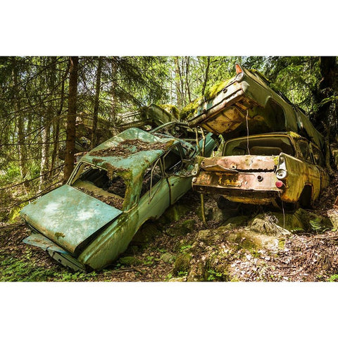 Sweden-Varmland-Bastnas-Bastnas Car Cemetery public park-antique car junkyard White Modern Wood Framed Art Print by Bibikow, Walter