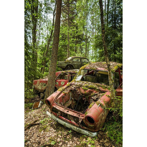 Sweden-Varmland-Bastnas-Bastnas Car Cemetery public park-antique car junkyard Black Modern Wood Framed Art Print by Bibikow, Walter