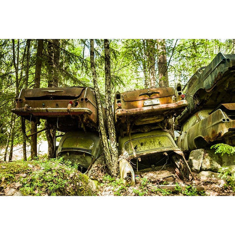 Sweden-Varmland-Bastnas-Bastnas Car Cemetery public park-antique car junkyard Black Modern Wood Framed Art Print by Bibikow, Walter