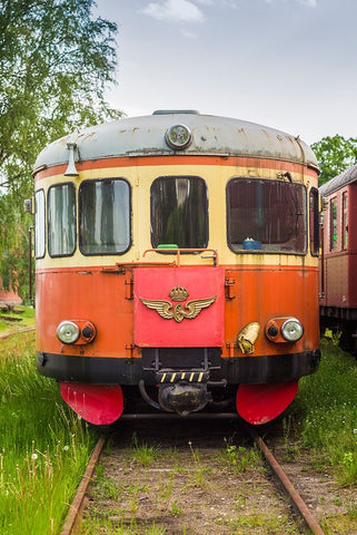 Sweden-Vastmanland-Nora-antique train wagons Black Ornate Wood Framed Art Print with Double Matting by Bibikow, Walter