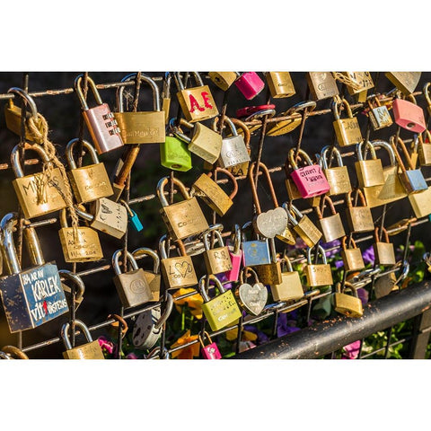 Sweden-Vastmanland-Vasteras-love locks on the Apotekarbron bridge-Old Town Black Modern Wood Framed Art Print by Bibikow, Walter