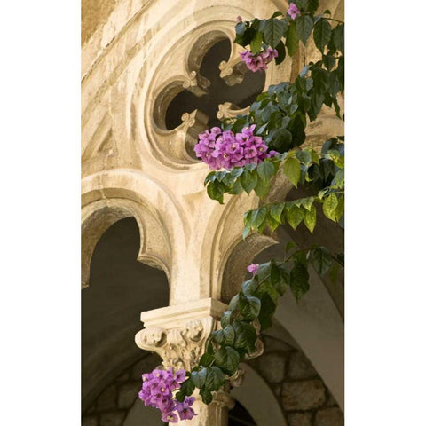 Croatia, Dubrovnik Flowers and church archway Black Modern Wood Framed Art Print by Kaveney, Wendy