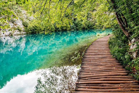 Croatia Plitvice Lakes National Park Walkway along the water in Plitvice Lakes National Park Black Ornate Wood Framed Art Print with Double Matting by Wilson, Emily