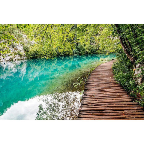 Croatia Plitvice Lakes National Park Walkway along the water in Plitvice Lakes National Park Black Modern Wood Framed Art Print by Wilson, Emily