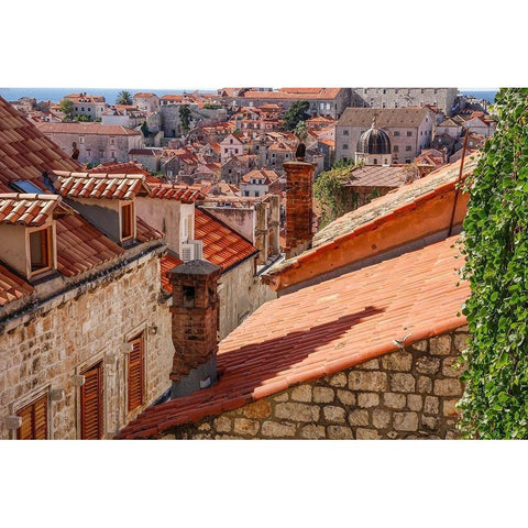 Croatia Dalmatia Dubrovnik Red terra cotta roof tiles in the old town of Dubrovnik White Modern Wood Framed Art Print by Wilson, Emily