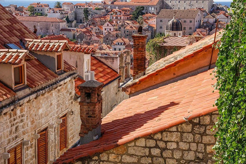 Croatia Dalmatia Dubrovnik Red terra cotta roof tiles in the old town of Dubrovnik Black Ornate Wood Framed Art Print with Double Matting by Wilson, Emily