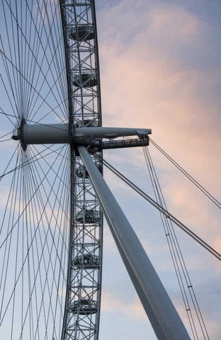 Great Britain, London London Eye Ferris wheel Black Ornate Wood Framed Art Print with Double Matting by Young, Bill