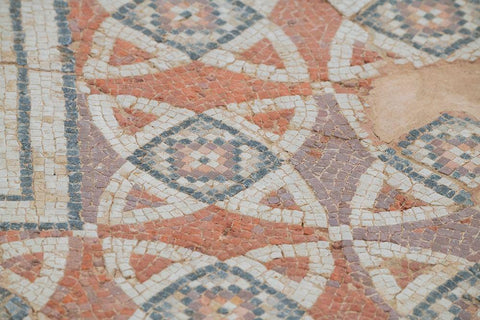 Cyprus-Roman archaeological site of Kourion Detail of ancient mosaic floor Black Ornate Wood Framed Art Print with Double Matting by Hopkins, Cindy Miller