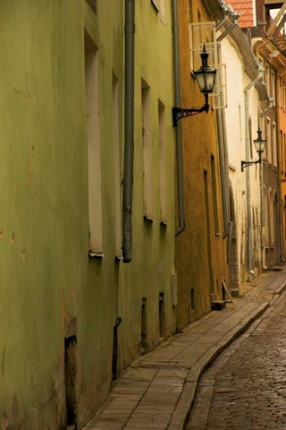 Estonia, Tallinn Narrow cobblestone street  Black Ornate Wood Framed Art Print with Double Matting by Ross, Nancy ,  Steve