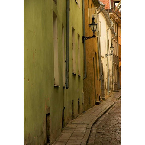 Estonia, Tallinn Narrow cobblestone street  Black Modern Wood Framed Art Print by Ross, Nancy ,  Steve