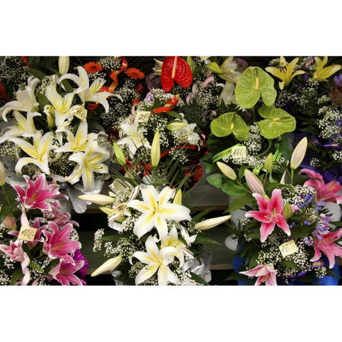 Estonia, Tallinn Flowers for sale at market Black Modern Wood Framed Art Print with Double Matting by Ross, Nancy ,  Steve
