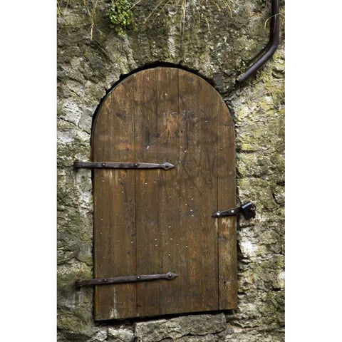 Estonia, Tallinn Old wooden door in stone wall Gold Ornate Wood Framed Art Print with Double Matting by Ross, Nancy ,  Steve