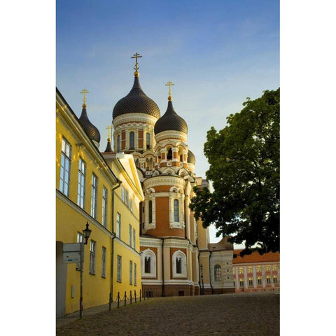 Estonia, Tallinn Alexander Nevsky Cathedral Black Modern Wood Framed Art Print by Zuckerman, Jim