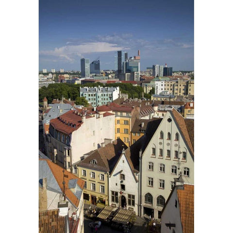 Estonia, Tallinn View of city Black Modern Wood Framed Art Print with Double Matting by Zuckerman, Jim