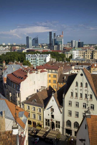 Estonia, Tallinn View of city White Modern Wood Framed Art Print with Double Matting by Zuckerman, Jim