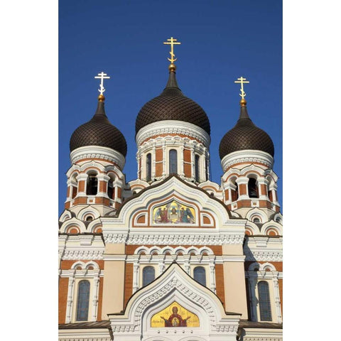 Estonia, Tallinn Alexander Nevsky Cathedral Gold Ornate Wood Framed Art Print with Double Matting by Zuckerman, Jim