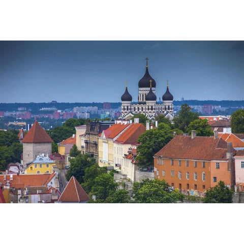 Estonia, Tallinn Alexander Nevsky Cathedral Gold Ornate Wood Framed Art Print with Double Matting by Zuckerman, Jim