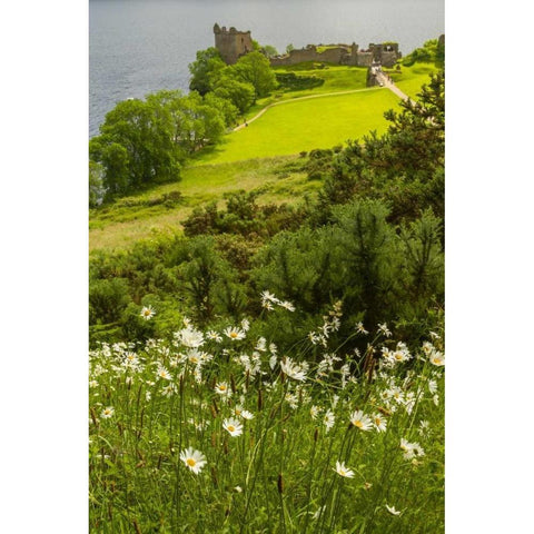 Scotland, Loch Ness Castle Urquhart ruins Black Modern Wood Framed Art Print by Illg, Cathy and Gordon