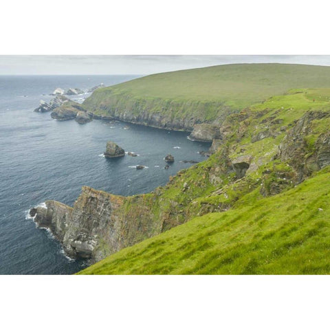 Scotland, Shetland Islands Island of Unst Black Modern Wood Framed Art Print by Illg, Cathy and Gordon