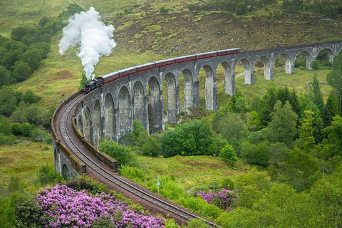 Scotland The Jacobite Train on elevated track Black Ornate Wood Framed Art Print with Double Matting by Jaynes Gallery