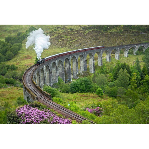 Scotland The Jacobite Train on elevated track Black Modern Wood Framed Art Print by Jaynes Gallery