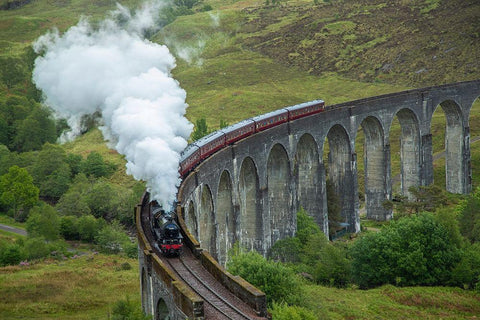 Scotland The Jacobite Train on elevated track Black Ornate Wood Framed Art Print with Double Matting by Jaynes Gallery