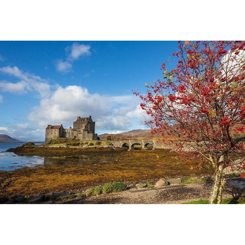 Eilean Donan Castle Isle of Skye-Scotland Black Modern Wood Framed Art Print by Norring, Tom