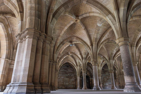 Old Cloisters Glasgow University-Scotland Black Ornate Wood Framed Art Print with Double Matting by Norring, Tom