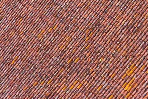 Red tile roof of Turaida Castle-Turaida-Latvia Black Ornate Wood Framed Art Print with Double Matting by Su, Keren