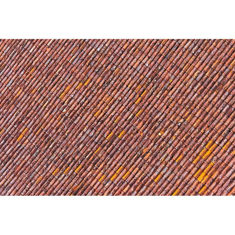 Red tile roof of Turaida Castle-Turaida-Latvia Black Modern Wood Framed Art Print with Double Matting by Su, Keren