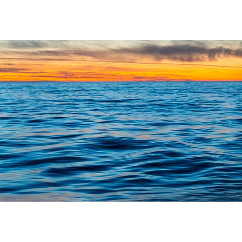 Ocean waves at sunset-Greenland Black Modern Wood Framed Art Print with Double Matting by Su, Keren