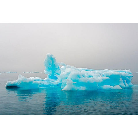 Blue iceberg in the fjord of Narsarsuaq-Greenland Black Modern Wood Framed Art Print with Double Matting by Su, Keren