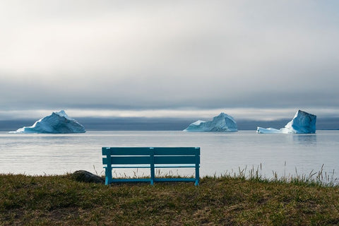 Floating iceberg in the fjord-Qeqertarsuaq-Greenland Black Ornate Wood Framed Art Print with Double Matting by Su, Keren