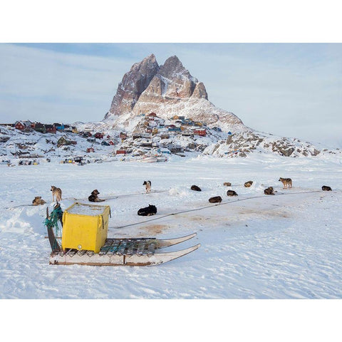 Team of sled dog during winter in Uummannaq in Greenland Black Modern Wood Framed Art Print by Zwick, Martin