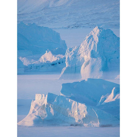 Icebergs frozen into the sea ice of the Uummannaq Fjord System during winter  Black Modern Wood Framed Art Print by Zwick, Martin
