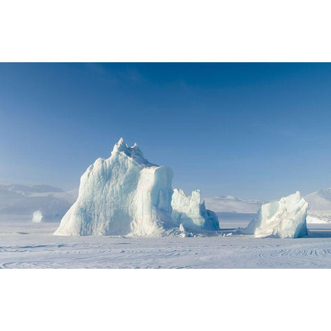 Icebergs frozen into the sea ice of the Uummannaq Fjord System during winter  Black Modern Wood Framed Art Print with Double Matting by Zwick, Martin