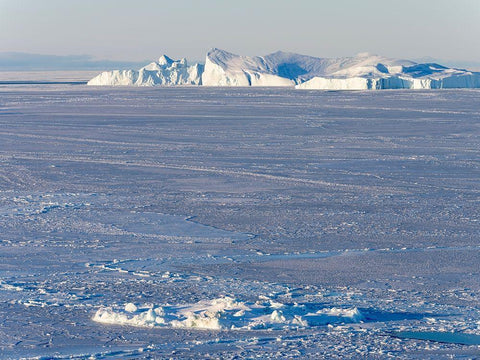 Winter at the Ilulissat Fjord-located in the Disko Bay in West Greenland Black Ornate Wood Framed Art Print with Double Matting by Zwick, Martin
