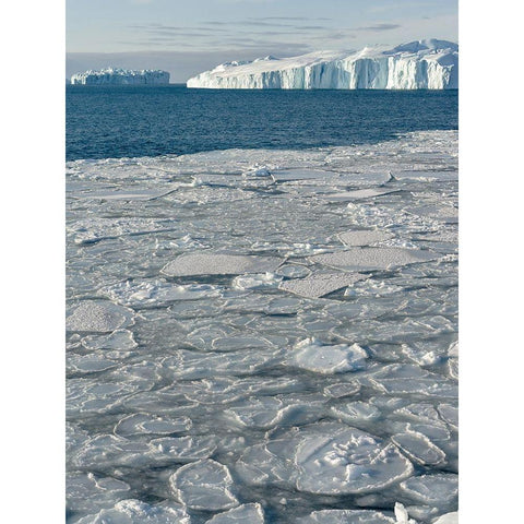 Winter at the Ilulissat Fjord-located in the Disko Bay in West Greenland Gold Ornate Wood Framed Art Print with Double Matting by Zwick, Martin
