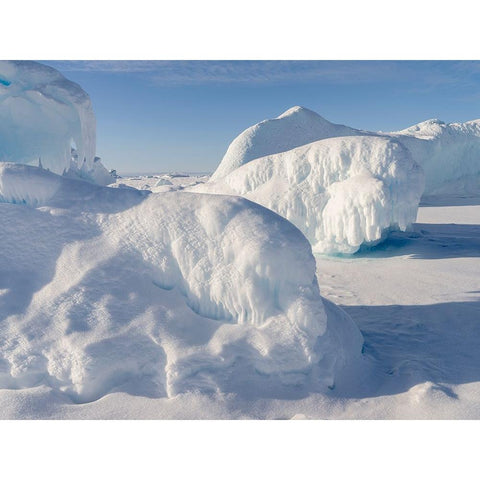 Icebergs frozen into the sea ice of the Uummannaq fjord system during winter-Greenland-Danish Terri Black Modern Wood Framed Art Print by Zwick, Martin