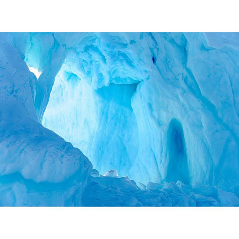 Iceberg frozen into the sea ice of the Uummannaq fjord system during winter-Greenland-Danish Territ Black Modern Wood Framed Art Print by Zwick, Martin