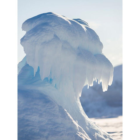 Iceberg frozen into the sea ice of the Uummannaq fjord system during winter-Greenland-Danish Territ Black Modern Wood Framed Art Print by Zwick, Martin