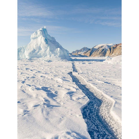 Icebergs in front of Appat Island-frozen into the sea ice of the Uummannaq fjord system during wint Gold Ornate Wood Framed Art Print with Double Matting by Zwick, Martin