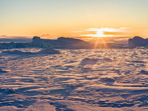 Icebergs frozen into the sea ice of the Uummannaq fjord system during winter-Greenland-Danish Terri Black Ornate Wood Framed Art Print with Double Matting by Zwick, Martin