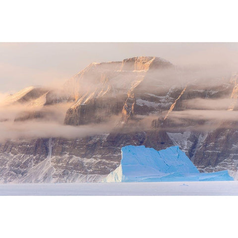 Icebergs in front of Storen Island-frozen into the sea ice of the Uummannaq fjord system during win Black Modern Wood Framed Art Print by Zwick, Martin