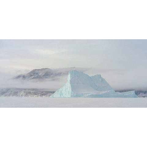 Icebergs in front of Storen Island-frozen into the sea ice of the Uummannaq fjord system during win Black Modern Wood Framed Art Print by Zwick, Martin
