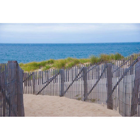 Path to the Beach White Modern Wood Framed Art Print by Miller, Anna